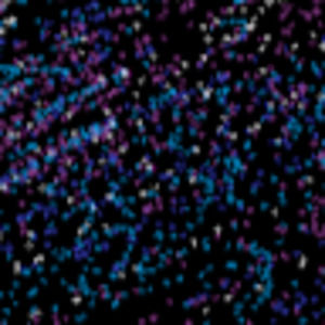 Meet your Posher, Daniella